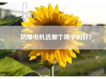 防爆電機(jī)選哪個(gè)牌子的好？