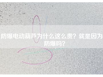 防爆電動葫蘆為什么這么貴？就是因為能防爆嗎？