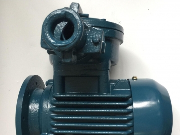 怎么選對粉塵防爆電機？