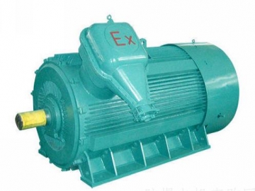 防爆電機(jī)如何出現(xiàn)掃膛、振動(dòng)、軸承過熱要怎么處理
