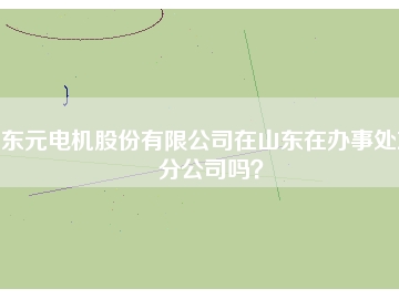 東元電機股份有限公司在山東在辦事處或分公司嗎？