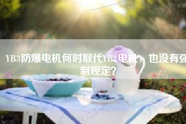 YB3防爆電機(jī)何時(shí)取代YB2電機(jī)，也沒(méi)有強(qiáng)制規(guī)定？