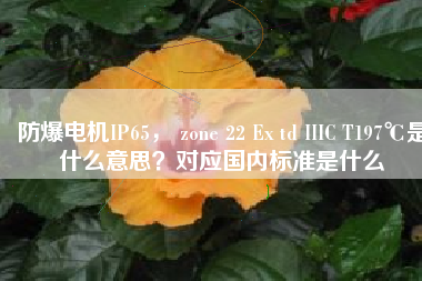防爆電機(jī)IP65， zone 22 Ex td IIIC T197℃是什么意思？對(duì)應(yīng)國(guó)內(nèi)標(biāo)準(zhǔn)是什么