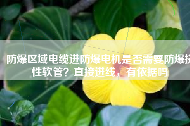 防爆區(qū)域電纜進(jìn)防爆電機(jī)是否需要防爆撓性軟管？直接進(jìn)線，有依據(jù)嗎