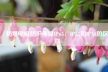 防爆電機(jī)防護(hù)等級IP65，IP55和IP54的區(qū)別