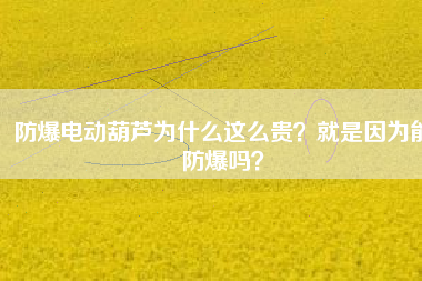 防爆電動(dòng)葫蘆為什么這么貴？就是因?yàn)槟芊辣瑔幔? title=
