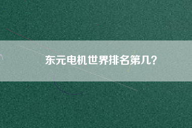 東元電機(jī)世界排名第幾？