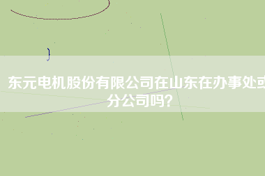 東元電機股份有限公司在山東在辦事處或分公司嗎？