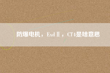 防爆電機，ExdⅡ，CT4是啥意思